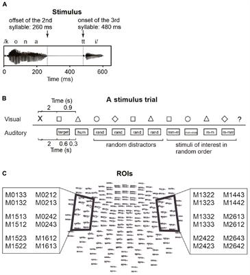 Better Phonological Short-Term Memory Is Linked to Improved Cortical Memory Representations for Word Forms and Better Word Learning